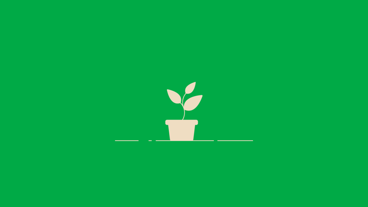 illustration of a potted plant for planting a new church